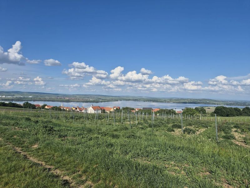 NAUČNÁ STEZKA PAVLOVSKÉ VINICE A VINNÉ SKLEPY