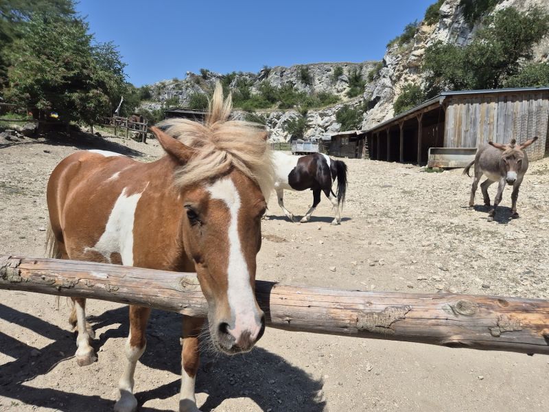 PONY RANČ KLENTNICE