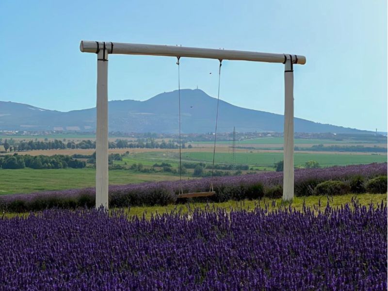 LEVANDULOVÁ FARMA STAROVIČKY